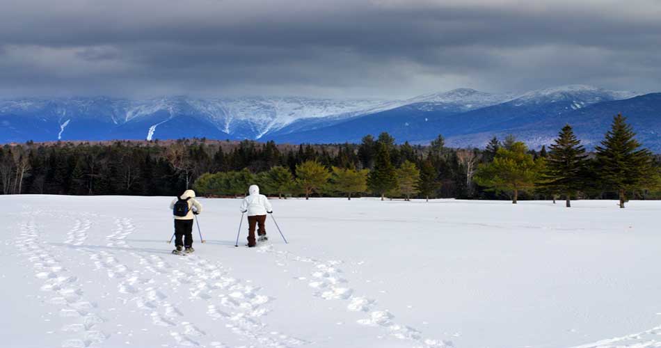 Bretton Woods Cross Country Skiing