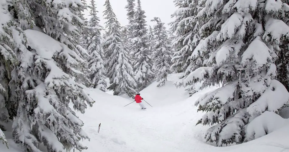 Deep snow at Mt. Hood ski resort.