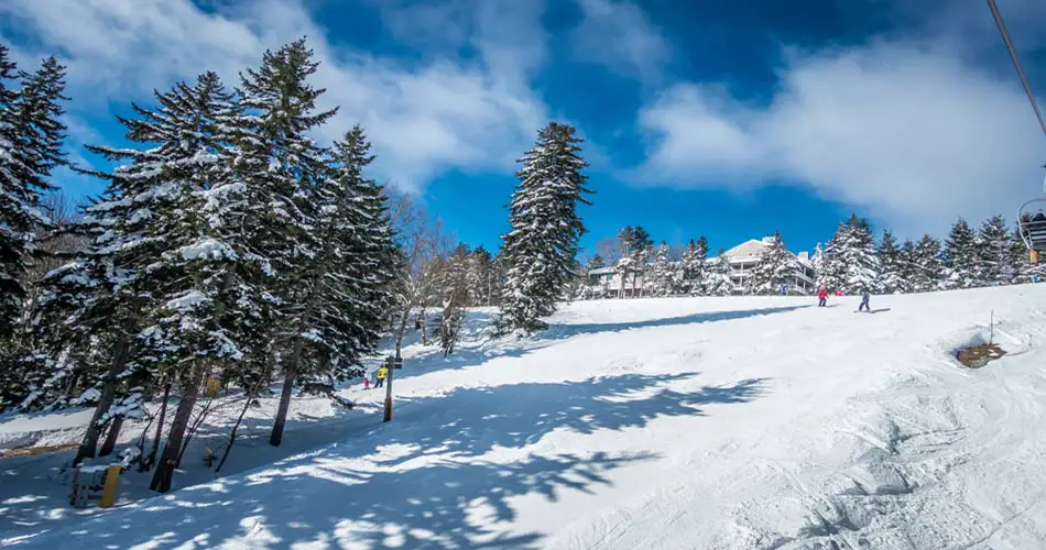Snowshoe ski trails.