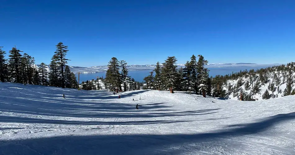 Snowy trails at Heavenly.