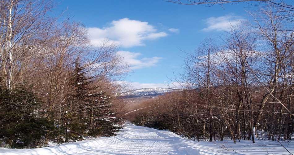 Nordic trails at Bolton Valley Ski Resort.