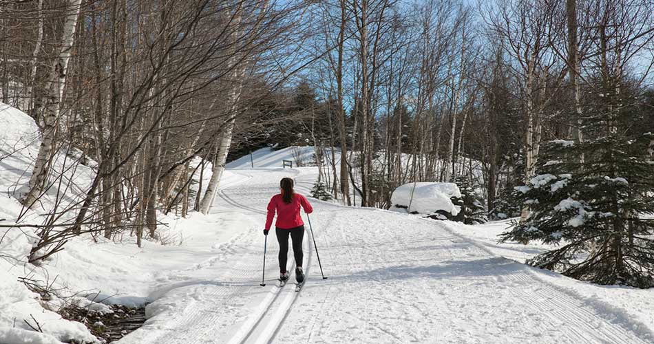 Skiing Nordic trails.
