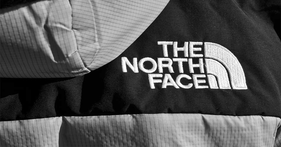 North Face Ski Jacket
