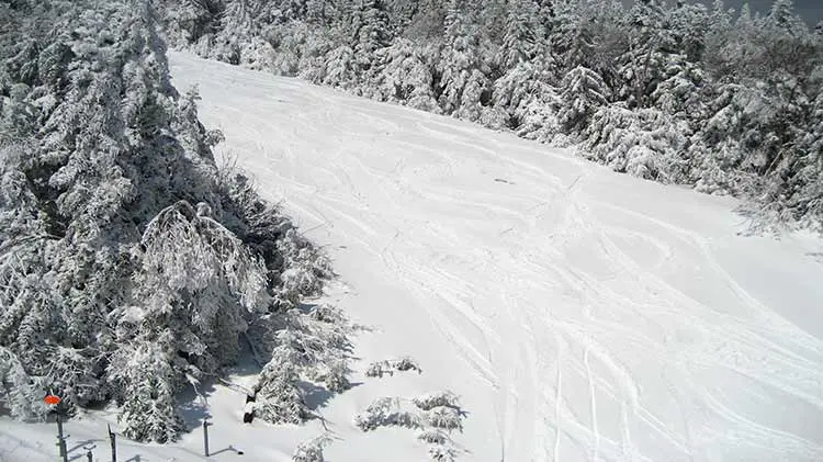 wide open trails at okemo ski resort