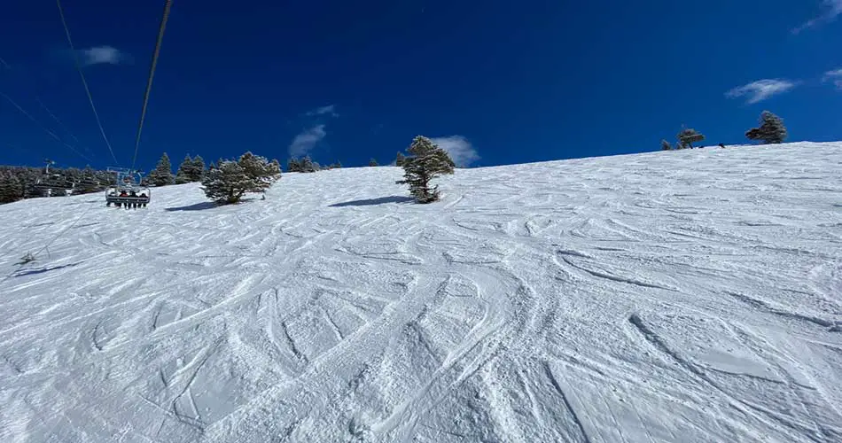 Trails at Vail Ski Resort.