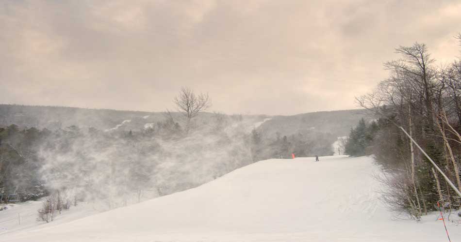 Trails at Wildcat NH.