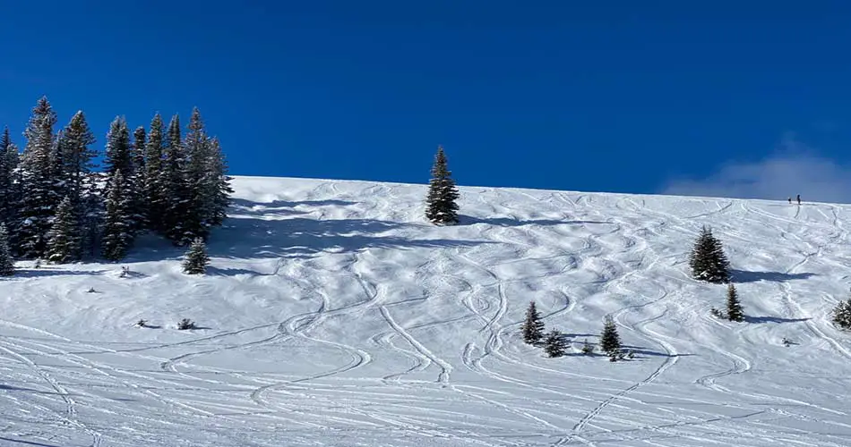 Trails at Vail Ski Resort.