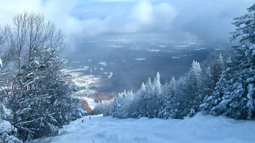 Moguls at Jay Peak.