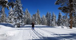 Badger Pass Ski Area | What to Know to Ski in Yosemite Park