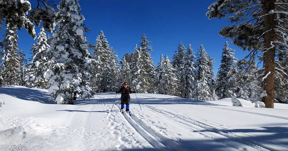 Cross Country Skiing at Badger Pass Ski Area