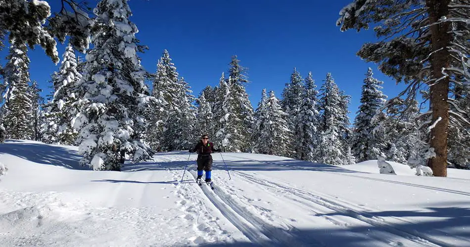 Cross Country skiing at Badger Pass