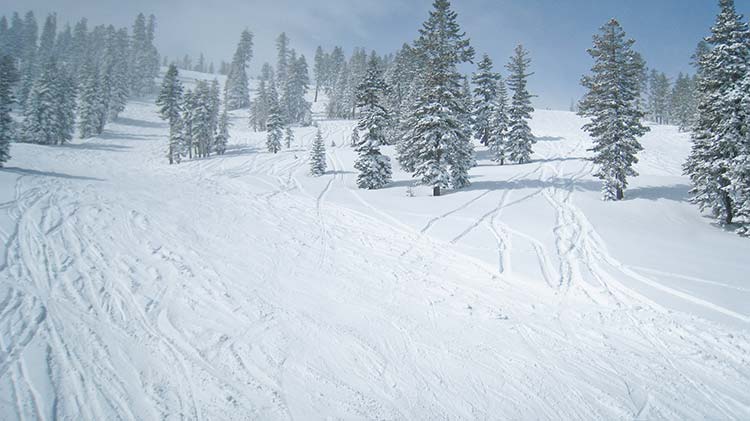 The trails at Northstar.