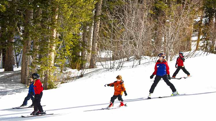 Brighton Ski Resort Ski School