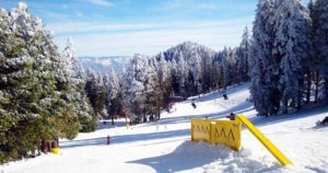 Alta Sierra Ski Resort: All the Info You Need for a Ski Trip