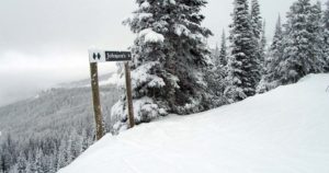Ski Slope Levels: Trail Ratings and Markers Explained