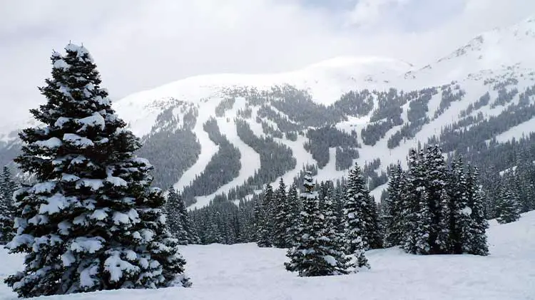 mountain trails at Loveland