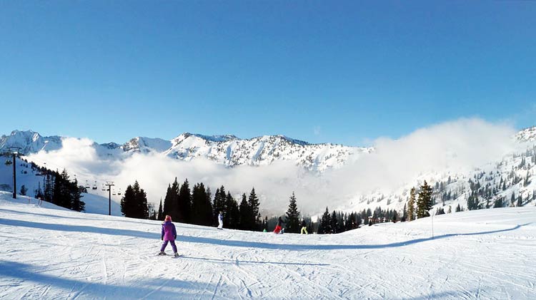 Skiing with Alta Bird Pass