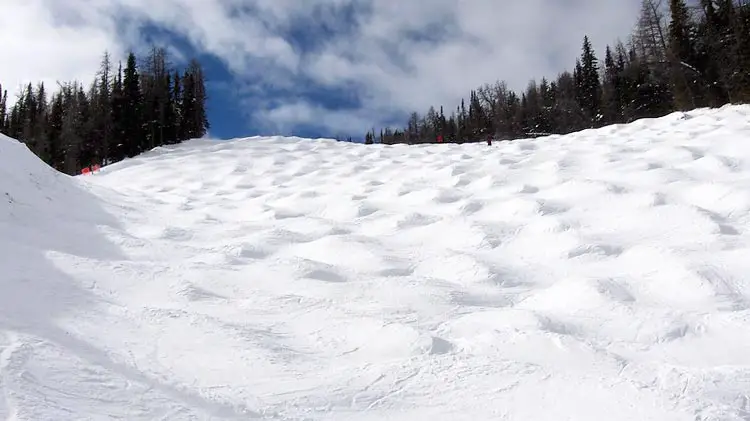 Mogul Field with skiers