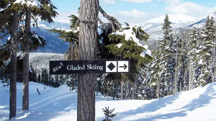 How To Ski Trees And Glades Get Started With Tree Skiing