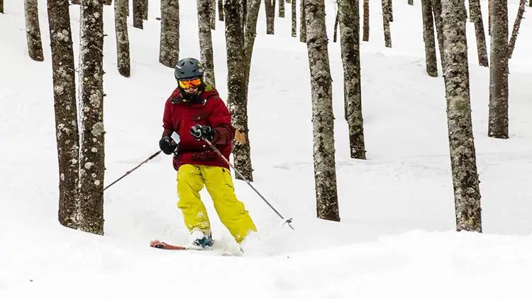 Tree skiing on the Saddleback glades