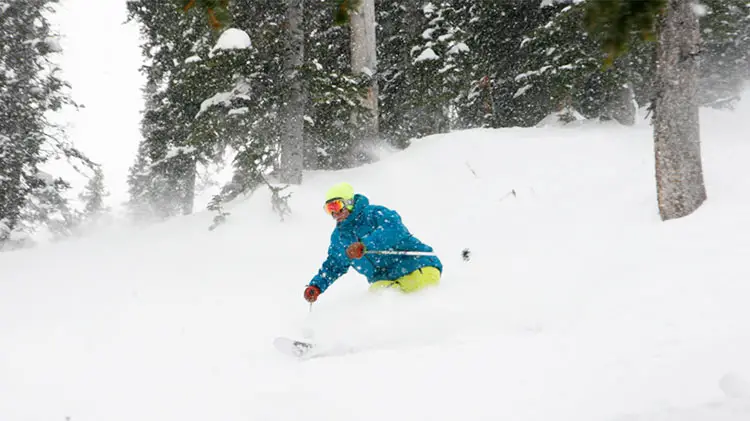 Lots of powder to enjoy at Jackson Hole